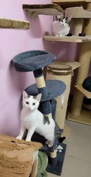 Bild von Anastasia