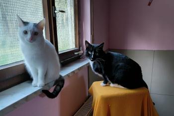 Bild von Anastasia