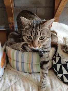 George Bild von George