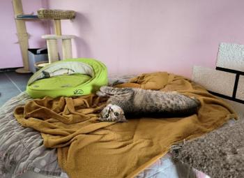 Daisy Bild von Daisy