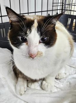 Betty Bild von Betty