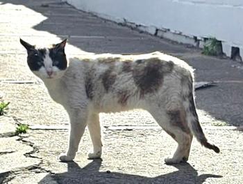 Betty Bild von Betty