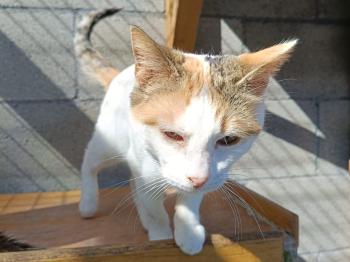 Bild von Muneca