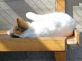 Bild von Muneca