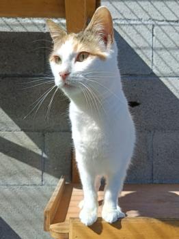 Bild von Muneca
