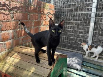 Armani Bild von Armani