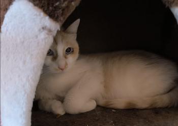 Bild von Snowi