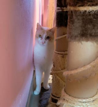 Bild von Snowi