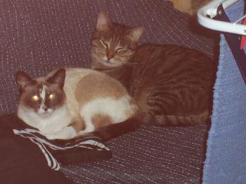 Sarah und Chatri Bild von Sarah
