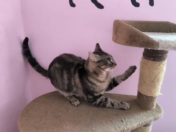 Bild von Lilly
