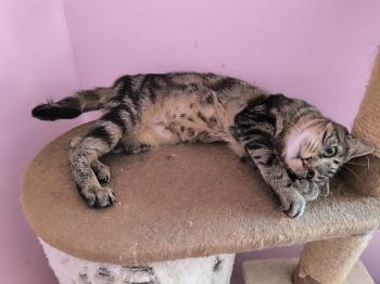 Bild von Lilly
