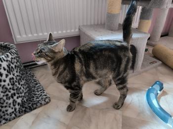 Bild von Lilly