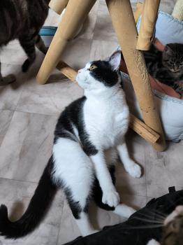Bild von Balu