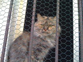 Cloe Bild von Cloe