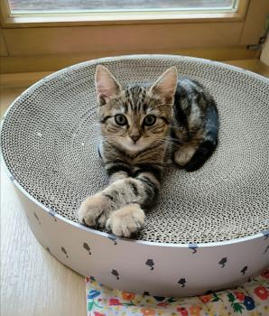 Zoe Bild von Zoe