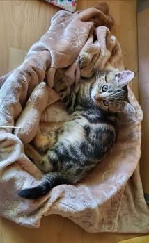 Zoe Bild von Zoe