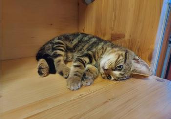 Zoe Bild von Zoe