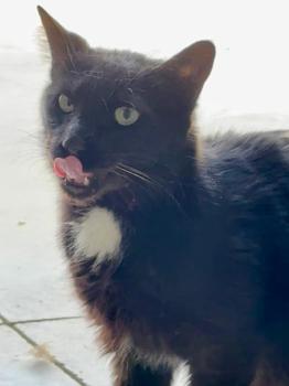Willie Bild von Willie