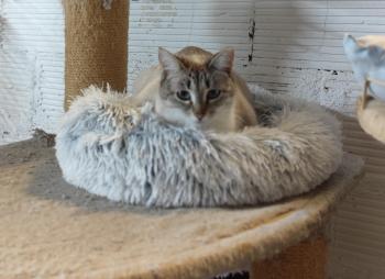 Bild von Freia