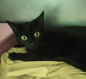 Salem Bild von Salem