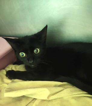 Salem Bild von Salem