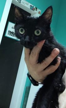 Salem Bild von Salem