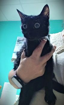 Salem Bild von Salem