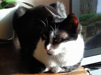 Bild von Jina