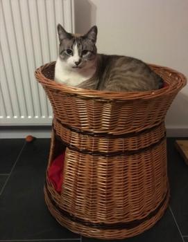Mina Bild von Mina