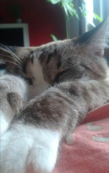 Mina Bild von Mina