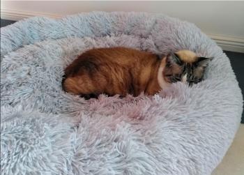 Mina Bild von Mina