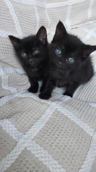 Bimba Bild von Bimba