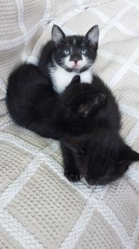 Bimba Bild von Bimba