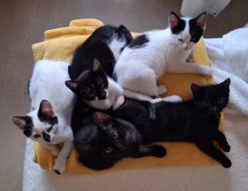 Bimba Bild von Bimba