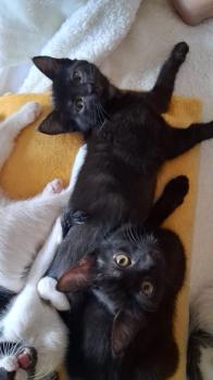 Bimba Bild von Bimba