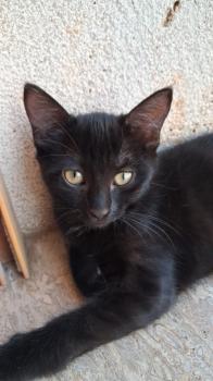 Bimba Bild von Bimba