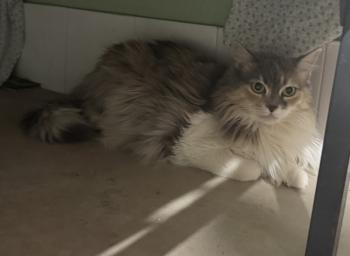 Nora Bild von Nora