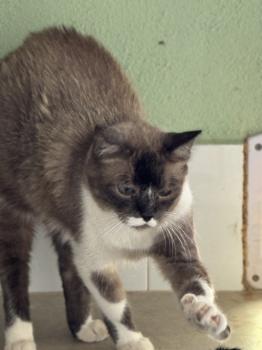 Bild von Elsa
