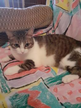 Telma Bild von Telma