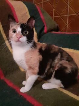 Susan Bild von Susan