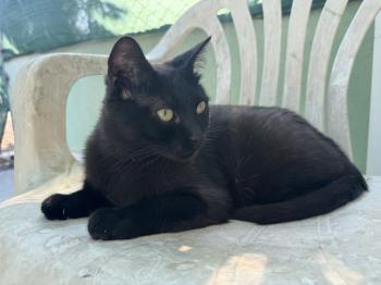 Nahla Bild von Nahla