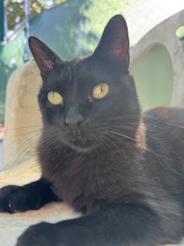 Nahla Bild von Nahla