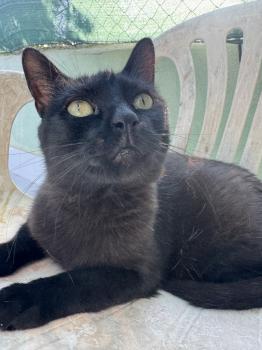Nahla Bild von Nahla