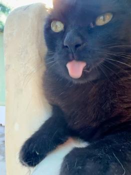 Nahla Bild von Nahla