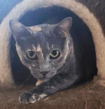 Tara Bild von Tara
