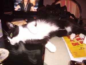Ametz Bild von Ametz