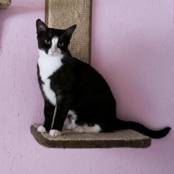 Irina Bild von Irina
