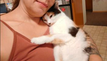 Picasa Bild von Picasa