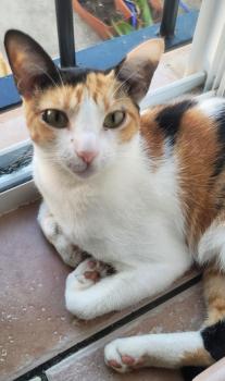 Lizzy Bild von Lizzy