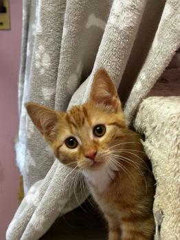 Oswald Bild von Oswald